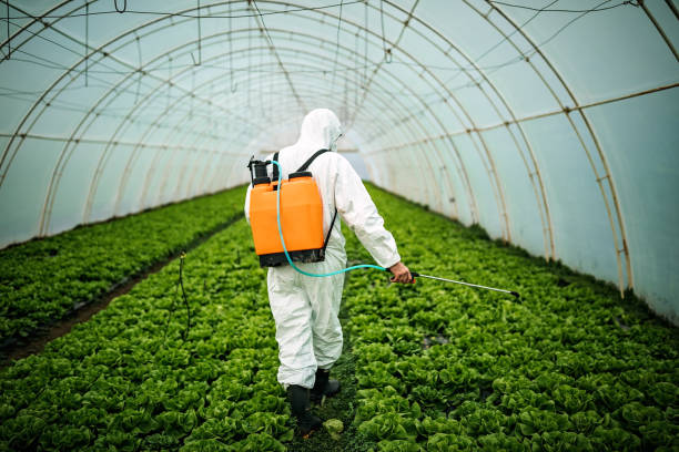 Best Pest Control Near Me  in Wellsboro, PA