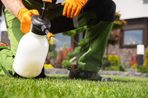 Insect Control in Wellsboro, PA