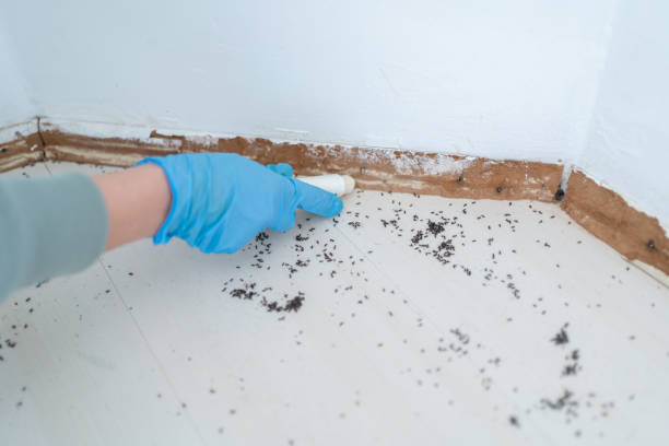 Best Residential Pest Control  in Wellsboro, PA