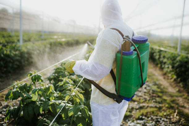 Trusted Wellsboro, PA Pest Control Experts